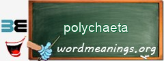 WordMeaning blackboard for polychaeta